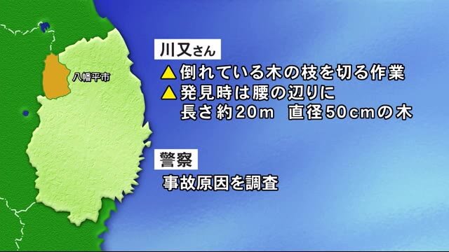 木の下敷き 作業中の男性死亡 八幡平市の山林<岩手県>