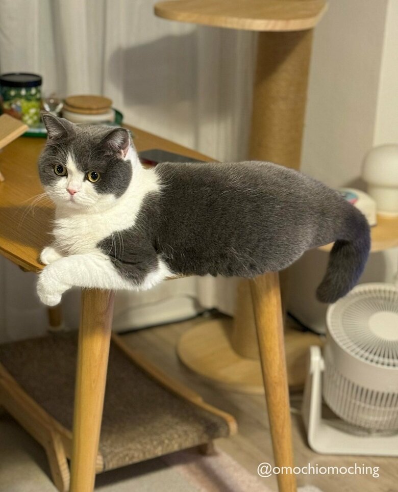 う、浮いている！？