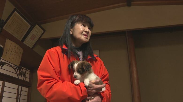 池田さん宅の犬（松本市）