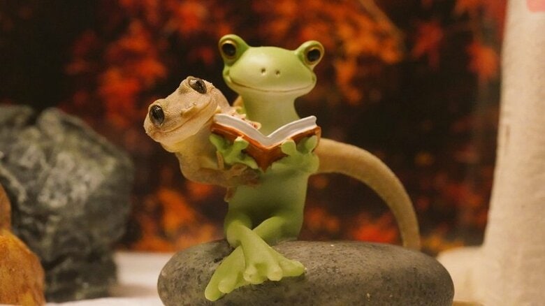 読書に興味があるヤモヤモちゃん