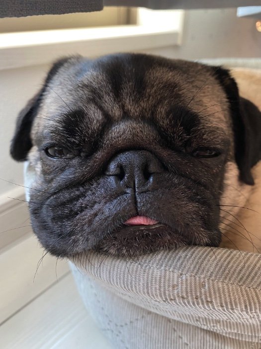 提供：ボンさん