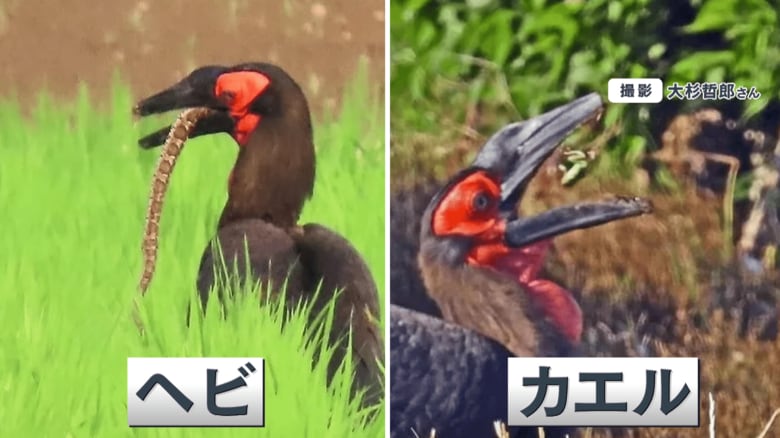 撮影：大杉哲郎さん
