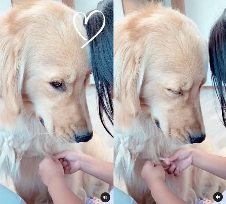 三つ編みを練習する姉のひまりちゃん（提供：西村 まひろさん）