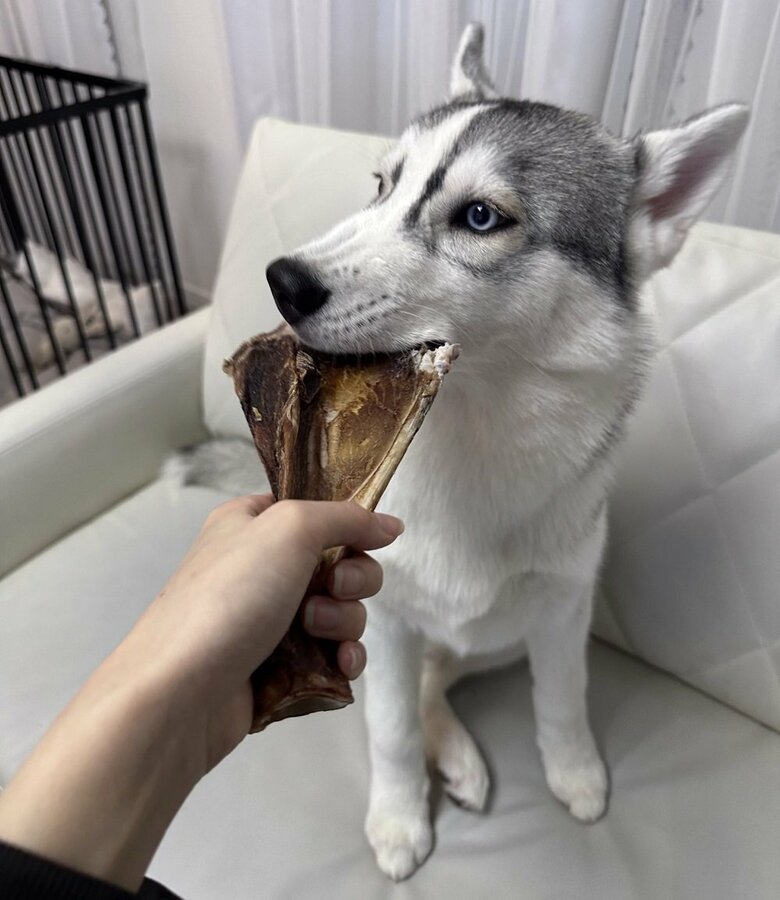 大好きな鹿肉