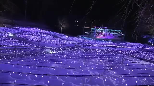 中継 イルミネーション 冬の花畑 岩手町 石神の丘美術館 岩手県