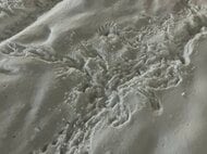 【最新】「ドン」という音“真冬のススキノ”で顔から出血した状態で倒れていた10代後半とみられる女性_建物から転落した可能性も...呼吸や脈はあるものの会話ができない状態で病院に搬送〈北海道札幌市〉