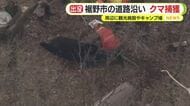 富士山の麓でクマを捕獲　箱わなにかかった1頭を駆除　付近には観光施設やキャンプ場　目撃が相次いでいた個体か