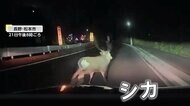 「バンパー飛んでる!」すり抜けバイクが接触し走り去る瞬間映像…