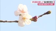 【速報】高知と岐阜で桜の開花宣言　高知は3年連続全国トップ、岐阜は過去最速タイ