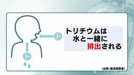 原発処理水に含まれる「トリチウム」は水素の仲間でヒトの体内にも　福島第一原発の処理水海洋放出【福島発】