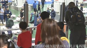 ”マグロ競り見学再開”…「東京の“今”2020」11月1日~11月7日【動画】