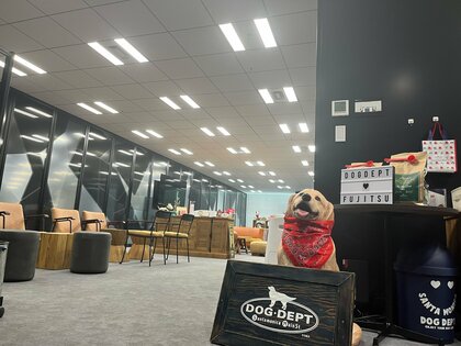 愛犬との出社OK! 一緒に勤務できる“専用部屋”を富士通が設置「ミーティングがすごく和んだ」