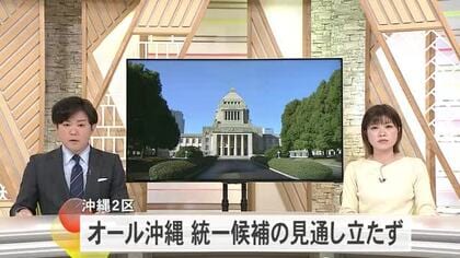 【衆院選】沖縄2区・候補者擁立のせめぎ合い オール沖縄分裂へ
