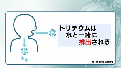 原発処理水に含まれる「トリチウム」は水素の仲間でヒトの体内にも　福島第一原発の処理水海洋放出【福島発】