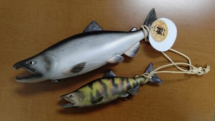 水族館監修の“鮭ポーチ”が細部までリアル…制作へのこだわりにグッズ会社も困惑？注目すべきポイントを館長に聞いた