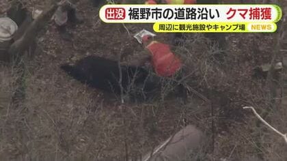 富士山の麓でクマを捕獲　箱わなにかかった1頭を駆除　付近には観光施設やキャンプ場　目撃が相次いでいた個体か