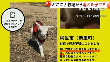 生まれて間もない子ヤギが行方不明　「やっと生まれた子が…」悲しみに暮れる牧場主「一刻も早く無事に帰ってきて」　群馬・桐生市
