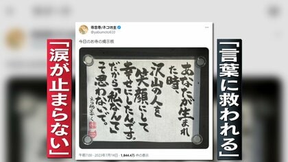 SNSで絶賛バズり中！多くの人が共感するネコ坊主が書く「言葉