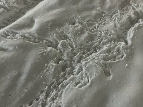 【最新】「ドン」という音“真冬のススキノ”で顔から出血した状態で倒れていた10代後半とみられる女性_建物から転落した可能性も...呼吸や脈はあるものの会話ができない状態で病院に搬送〈北海道札幌市〉