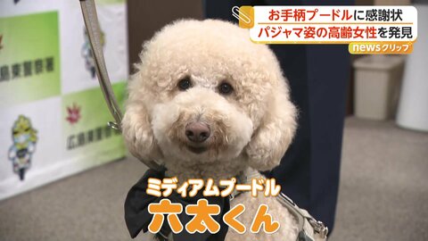中学生が川で溺れた男児を救助◇お手柄プードル…散歩中に行方不明の高齢女性発見◇夜の国道で80代女性保護…無事家族のもとへ【感謝状3選】