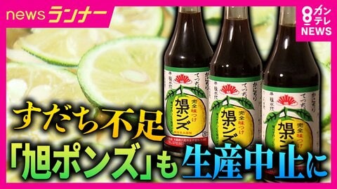 関西の食卓の定番「ポン酢」が生産停止に　背景には深刻なすだち不足　対策しなければ2050年には収穫ゼロへ　一大産地・徳島ではすだち農家の高齢化が問題に