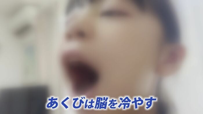 鼻と口から大量に息を入れることで大脳を冷やすことができる、あくび