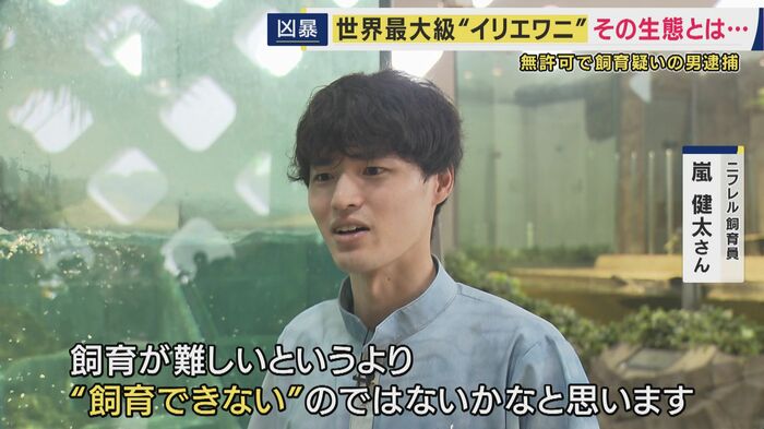 ニフレル飼育員　嵐健太さん