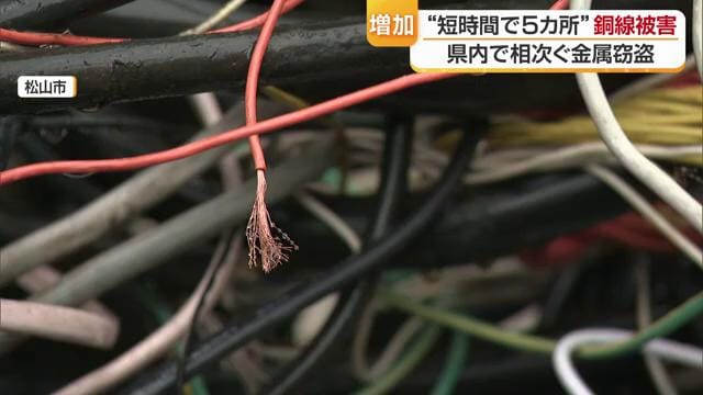 新たな規制で相次ぐ被害に歯止めがかけられるだろうか