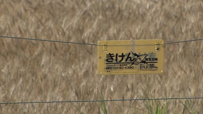 家庭菜園用の電気柵の貸し出しの受付が5月15日に始まる（資料画像）
