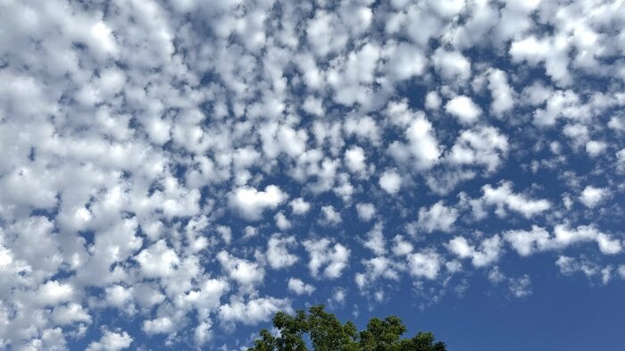 「うろこ雲（巻積雲）」と「羊雲（高積雲）」のミックス