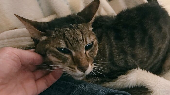 店長を務めた三郎くん