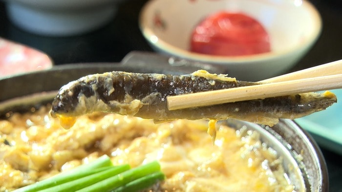 出汁もしっかり染みた絶品などじょう