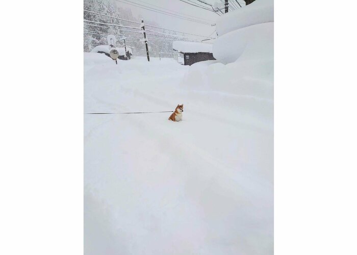 感情を失っている(提供:あおとはなさん)