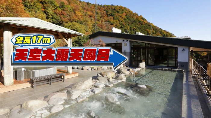 神奈川・箱根町「箱根湯本温泉 天成園」