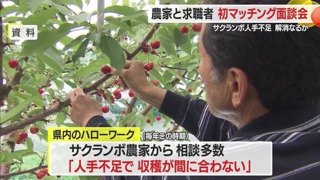 毎年、働き手が必要な生産者から「人手が足りず収穫が間に合わない」との声があがっている