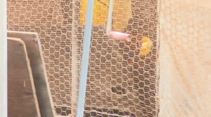 被害のあった養鶏場　長野県中野市（2025年7月）