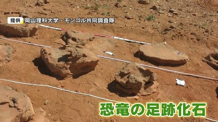 提供:岡山理科大学 - モンゴル共同調査隊