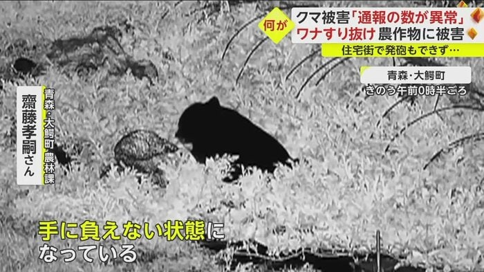 町の担当者は「手に負えない常態になっている」と語る