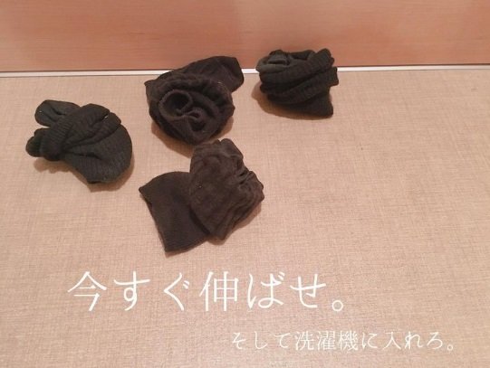 2019年の投稿