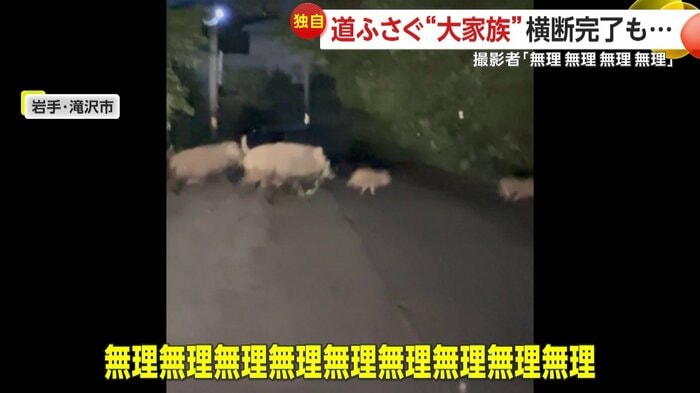 「無理無理無理無理!」とこぼしていた撮影者(FNN投稿サイト「ビデオPost」)