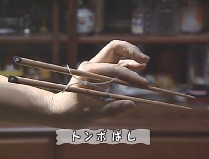 2支点があれば持てるトンボばし
