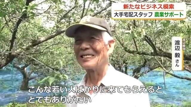 “ネコの手”も借りたい収穫作業