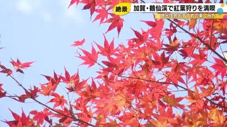 例年より色づき遅く…加賀市山中温泉『鶴仙渓』の紅葉が見頃 川床からは雄大な流れと色鮮やかな木々が一望｜FNNプライムオンライン