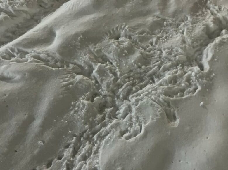 【最新】「ドン」という音“真冬のススキノ”で顔から出血した状態で倒れていた10代後半とみられる女性_建物から転落した可能性も...呼吸や脈はあるものの会話ができない状態で病院に搬送〈北海道札幌市〉｜FNNプライムオンライン