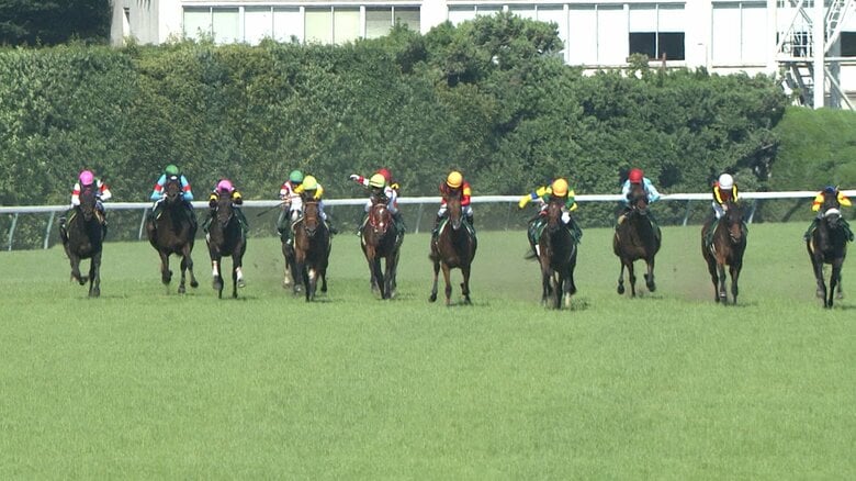 【一足早い真夏のような熱い戦い!府中牝馬S・G3】 春G1の熱は終わらない 波乱必至のハンデ戦 人気馬総崩れも…!?激走する穴馬は?|FNNプライムオンライン