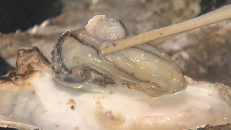 信州で海の幸を堪能！宮城県産「カキ食べ放題」大型連休中はほとんど県内客「地元でうれしい」｜FNNプライムオンライン