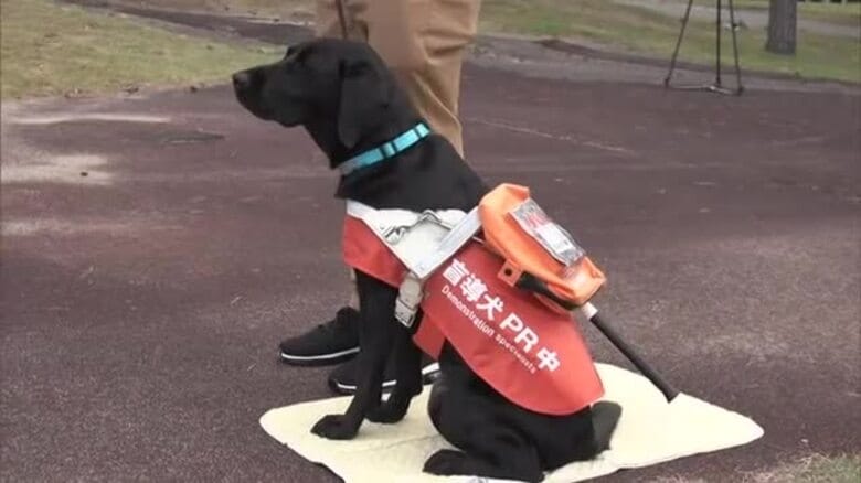 補助犬の育成をサポート、息の長い活動に　秋田市でチャリティーゴルフ大会　募金は育成団体などに寄贈へ｜FNNプライムオンライン