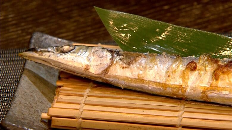 秋の味覚“サンマ”が67トン初水揚げ―2023年の140倍！ 地元では1匹80円で販売「これくらいの値段なら家族で食べられる」 今後は札幌市などでも販売へ 北海道根室市｜FNNプライムオンライン
