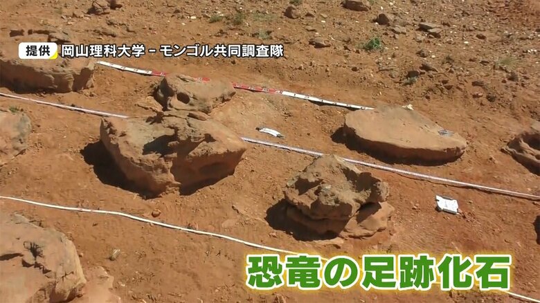 提供:岡山理科大学 - モンゴル共同調査隊