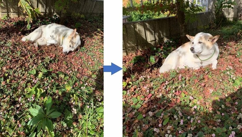 穴のそばでゴロンとしていると…ズリズリお尻が穴の中へ